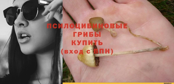 прущие крисы Белокуриха